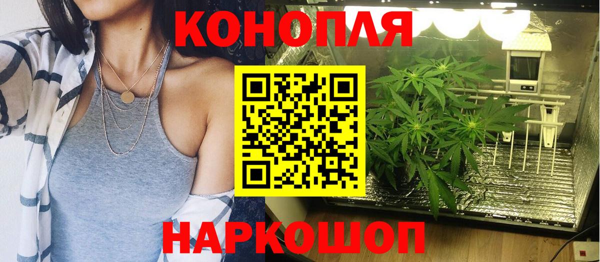 Конопля сатива Каменск-Уральский